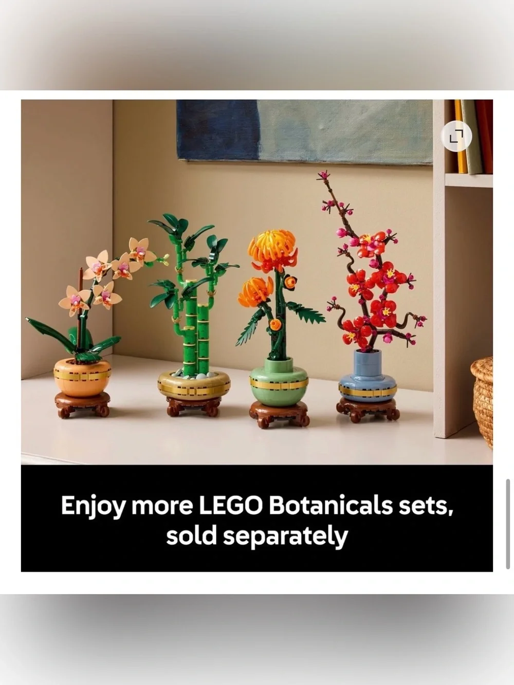 LEGO Botanical Lucky Bamboo Set
